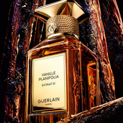 VANILLE PLANIFOLIA EXTRAIT 21 – EXTRAIT